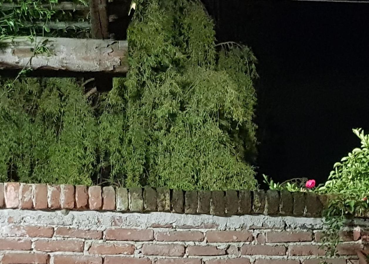 Az.Agr.Cascina Moretta Momo Buitenkant foto