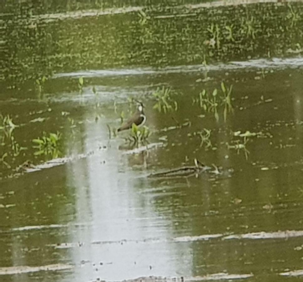 Az.Agr.Cascina Moretta Momo Buitenkant foto