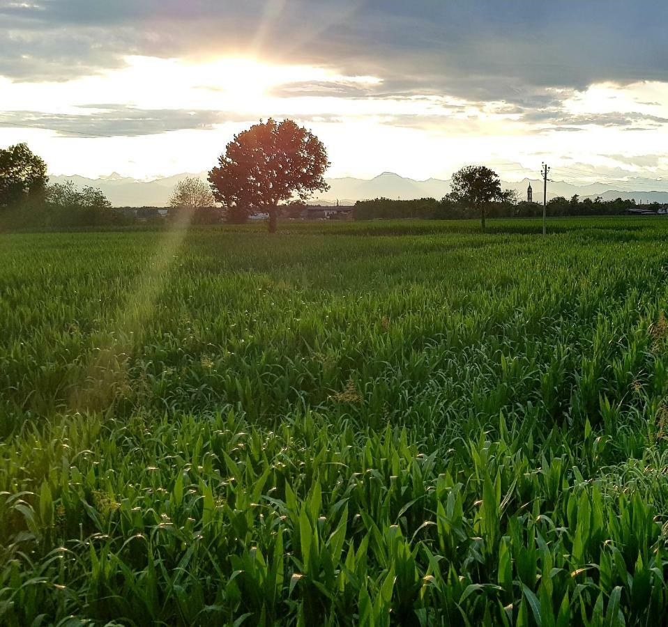 Az.Agr.Cascina Moretta Momo Buitenkant foto