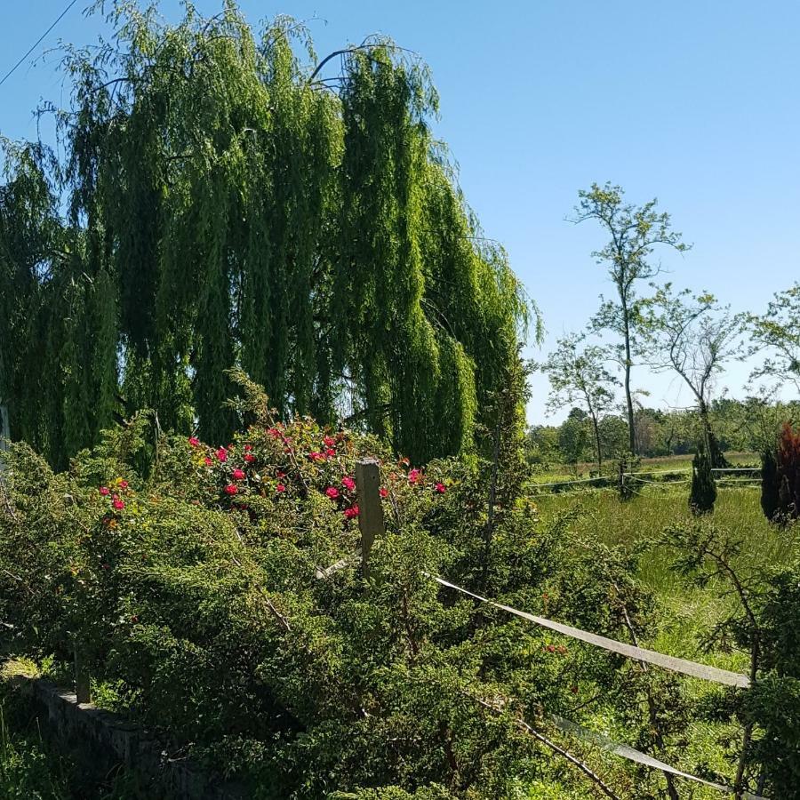 Az.Agr.Cascina Moretta Momo Buitenkant foto
