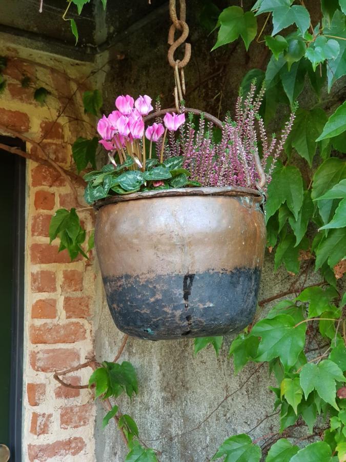 Az.Agr.Cascina Moretta Momo Buitenkant foto